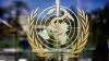 سازمان جهانی بهداشت