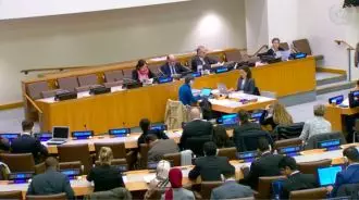کمیته سوم مجمع عمومی ملل متحد