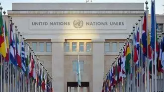 حقوق بشر سازمان ملل 
