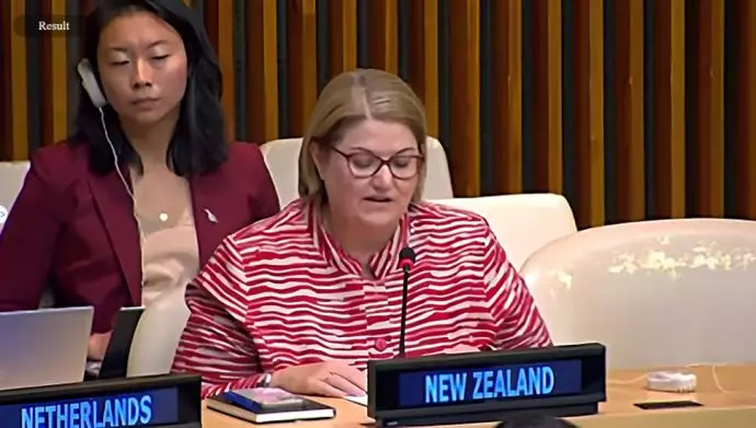 نماینده نیوزلند در جلسه غیر رسمی شورای امنیت