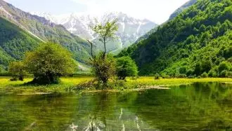منظره