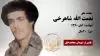 مجاهد شهید نعمت الله شاهرخی