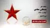 مجاهد شهید مصطفی معادی