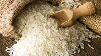 گرانی برنج