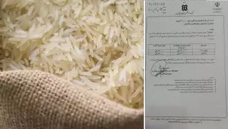 گران کردن برنج توسط رژیم