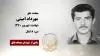 مجاهد شهید  مهرداد امینی