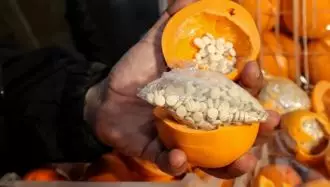 قاچاق قرص‌های مواد مخدر کپتاگون