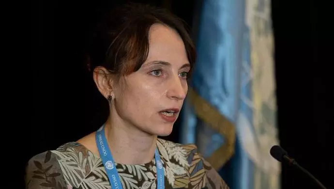 آلنا دوهان گزارشگر ویژه سازمان ملل متحد