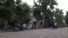 خیابان ایرانشهر پارک هنرمندان