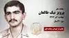 مجاهد شهید پرویز نیک طالعان