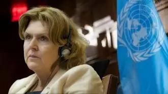 مری لاولور، گزارشگر ویژه سازمان ملل در امور مدافعان حقوق بشری