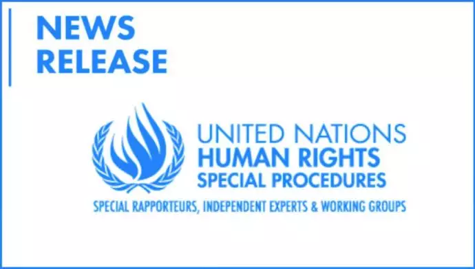 گزارشگران ویژه سازمان ملل