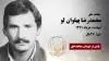 مجاهد شهید محمدرضا پهلوان لو