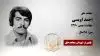 مجاهد شهید احمد اویسی