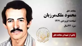 مجاهد شهید محمود ملک مرزبان