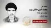 مجاهد شهید محمد امین دانش پیپ