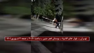 تهران بوستان فجر