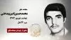 مجاهد شهید محمد حسین امین بیدختی