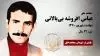 مجاهد شهید عباس افروشه بی بالانی