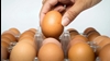 گران شدن تخم مرغ