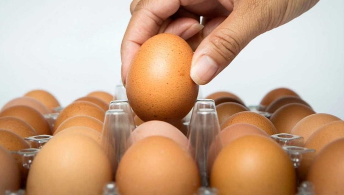 گران شدن تخم مرغ