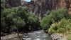 منظره