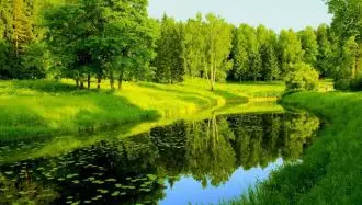 منظره