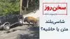سخن روز