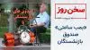 سخن روز