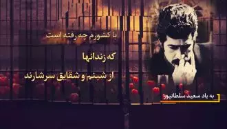 شاعر و هنرمند انقلابی، فدایی شهید، سعید سلطانپور
