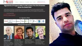 امضاکنندگان نامهٔ سازمانها و شخصیتهای بین‌المللی برای توقف اعدام زندانی سیاسی جواد وفایی