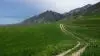 منظره 