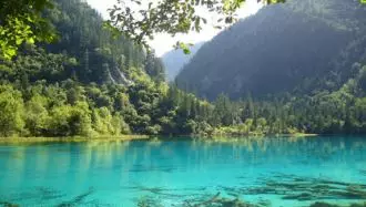 منظره