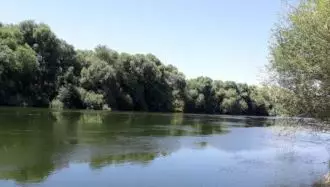 منظره