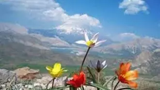 منظره