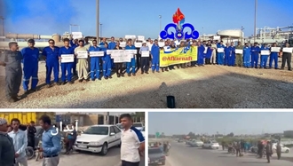 بردخون و آبدان بوشهر - ادامه اعتصاب سراسری نچیدن گوجه و تداوم اعتراض کارگران شرکت فلات‌قاره لاوان