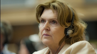 ماری لاولر، گزارشگر ویژه سازمان ملل 