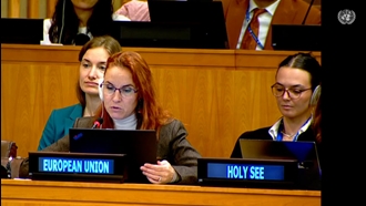 نماینده اتحادیه اروپا در اجلاس کمیته سوم مجمع عمومی سازمان ملل متحد