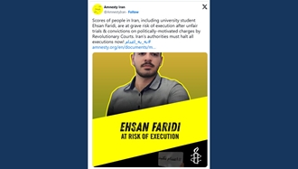 هشدار عفو بین‌الملل درباره احسان فریدی