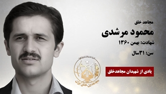 مجاهد شهید محمود مرشدی