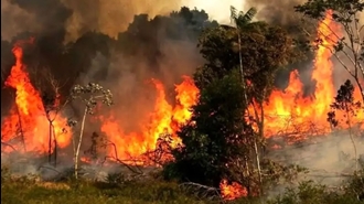 آتش‌سوزی هیرکانی