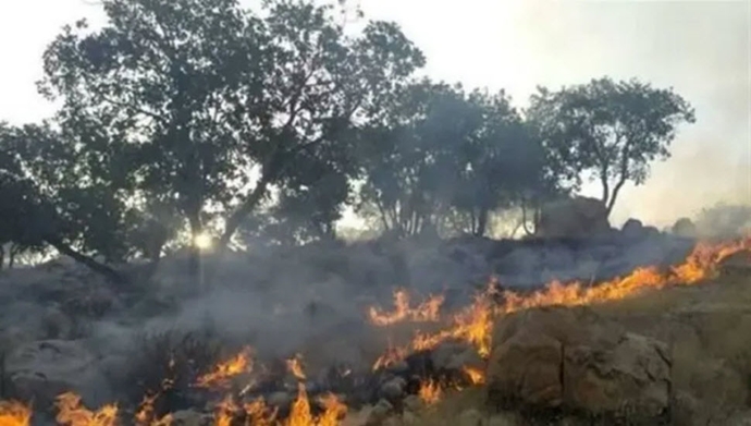 سوختن جنگل‌های هیرکانی