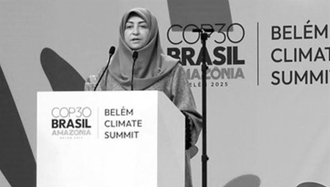 سفر ۵۰میلیاردی شینا انصاری به برزیل