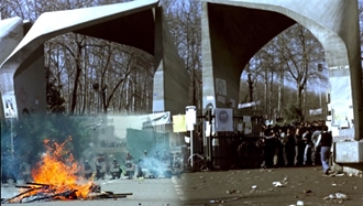 دانشگاه، قلب تپنده آزادی و رادیکالیسم اجتماعی