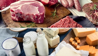 افزایش قیمت گوشت و لبنیات