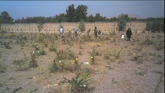 دسته‌های گل بر مزارهای بی‌نشان