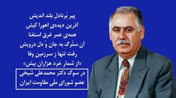 دکتر محمدعلی شیخی