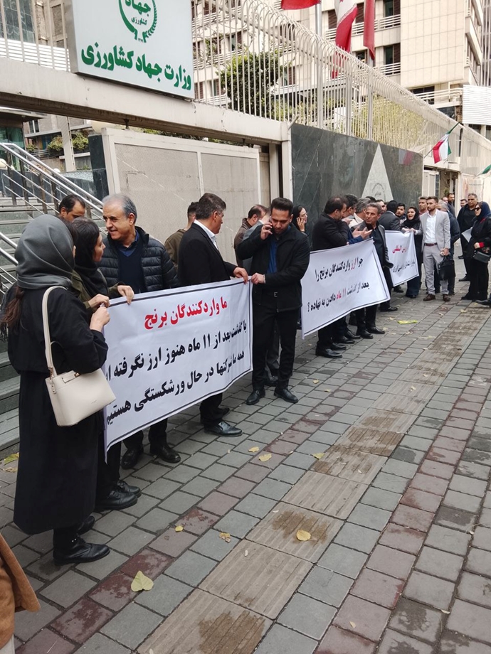 واردکنندگان برنج نیز مقابل وزارت جهاد تجمع کردند واردکنندگان برنج نیز مقابل وزارت جهاد تجمع کردند