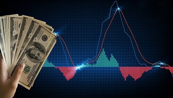 نوسانات ارزی در ایران