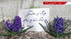 اراک - کارزار سیزده بدر